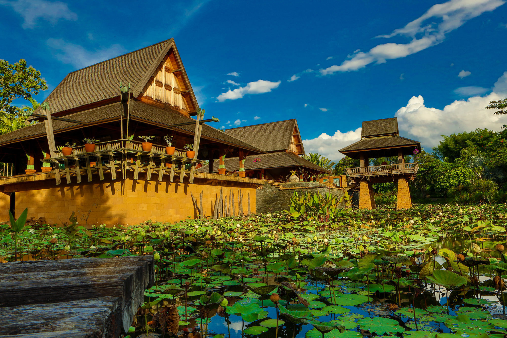 Howie'S Homestay Mae Rim Exteriér fotografie